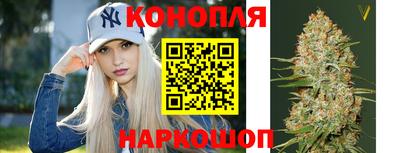 Альфа ПВП Пенза