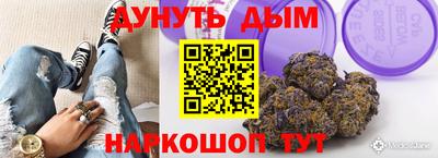 индика Обнинск