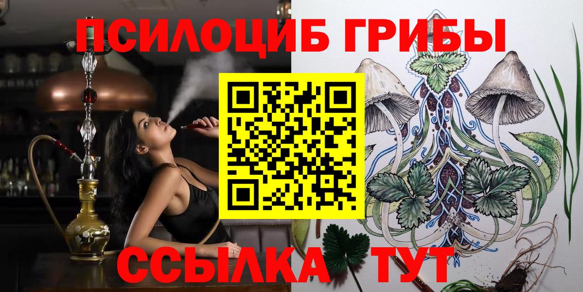 Псилоцибиновые грибы Psilocybine cubensis  Вход с VPN  Псилоцибиновые грибы мицелий  Стрежевой 